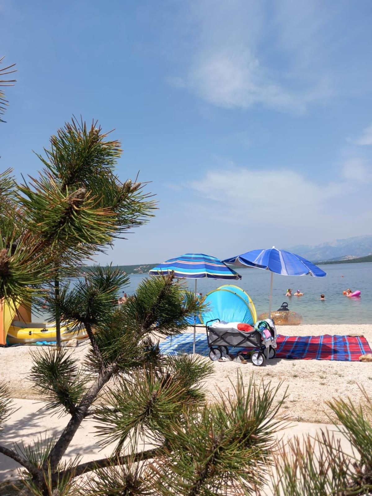 Karin Apartmani Hani Gornji Karin Esterno foto