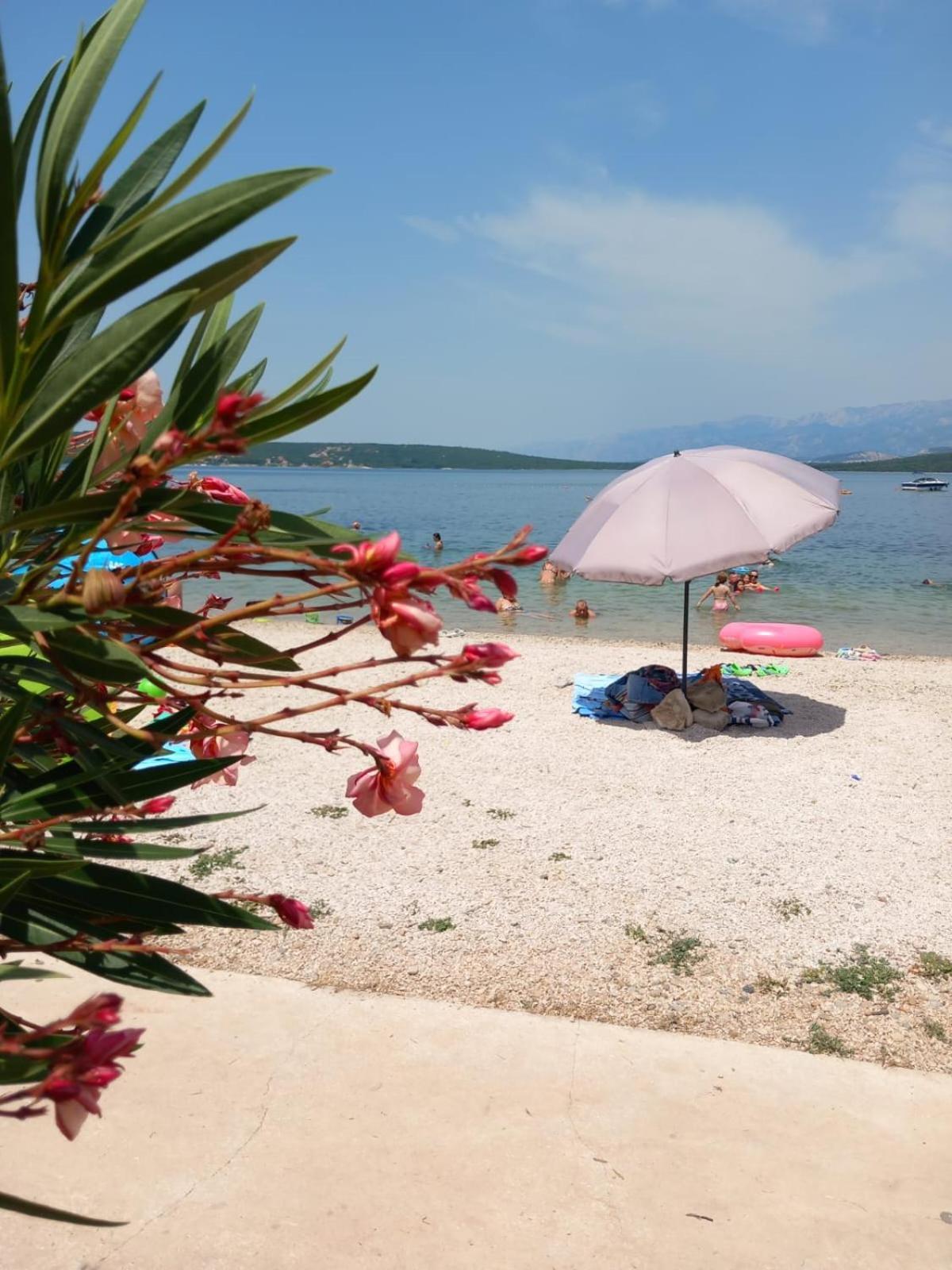Karin Apartmani Hani Gornji Karin Esterno foto