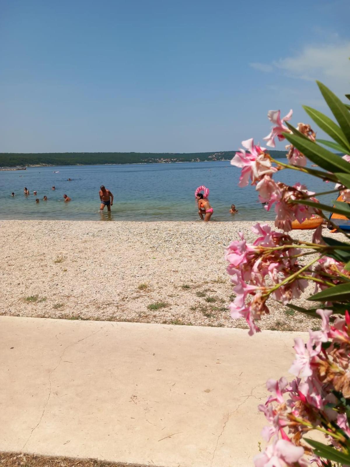Karin Apartmani Hani Gornji Karin Esterno foto