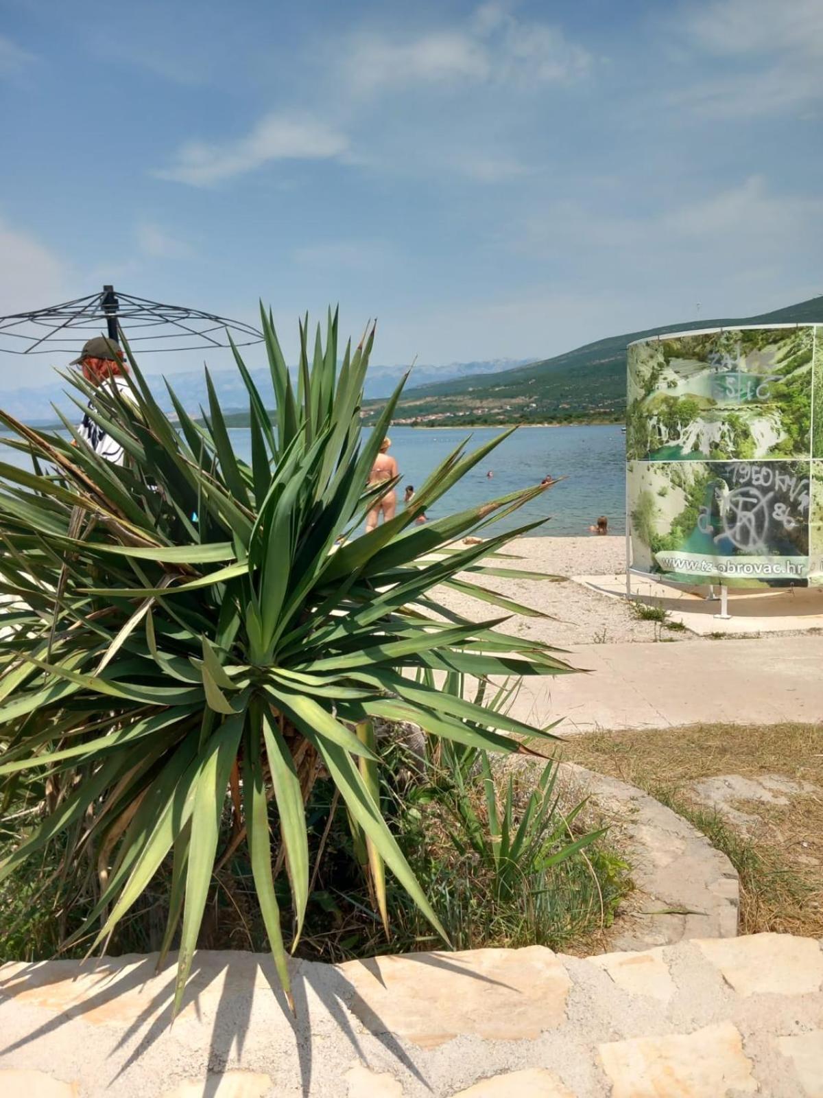 Karin Apartmani Hani Gornji Karin Esterno foto